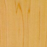 Yellow Poplar